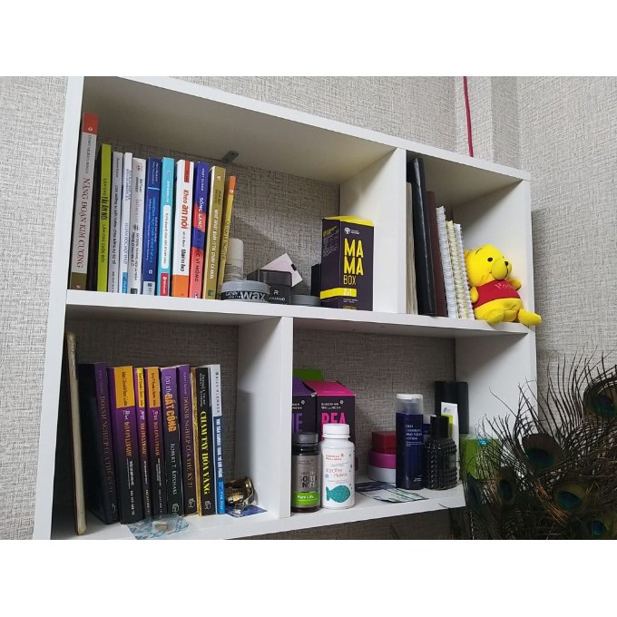 giá sách treo tường